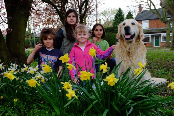 Beverley In Bloom Launches The 2014 Town Compeition
