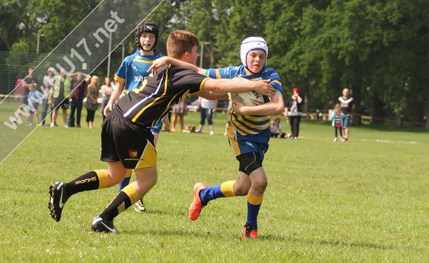 Braves Go Third After Victory Over Bulls