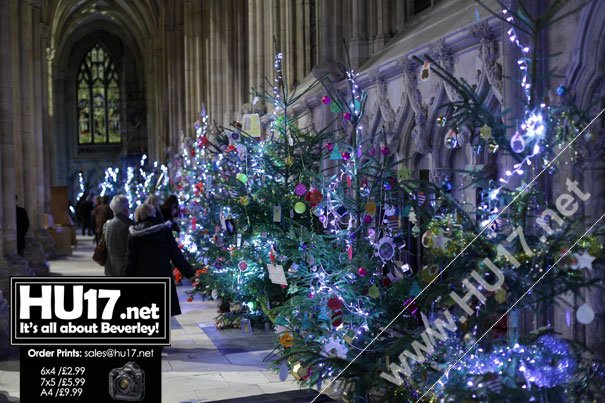 Christmas Tree Festival At Beverley Minster