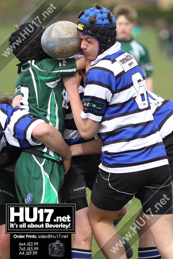 RUGBY UNION : Gutsy Beavers U15s Beaten Driffield