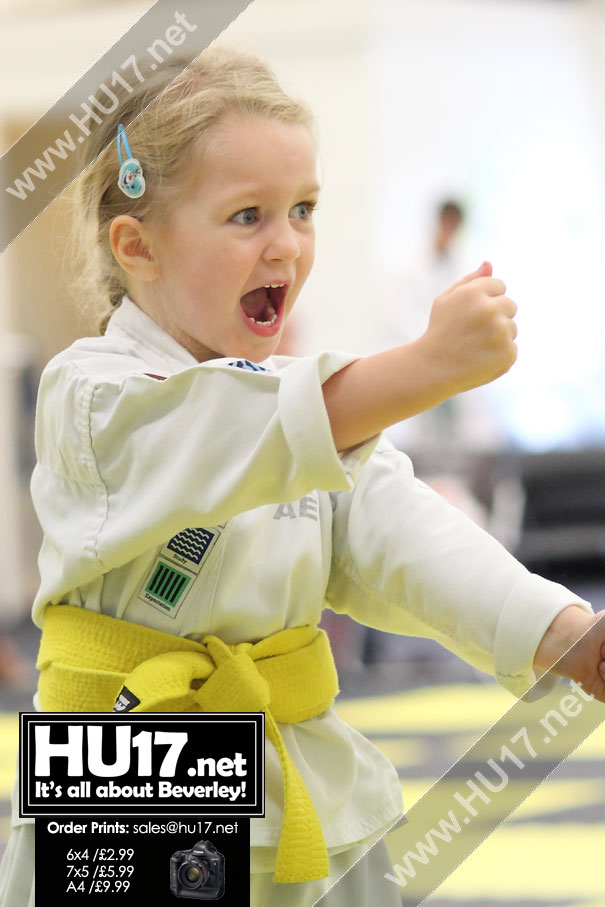 GALLERY : AEGIS Martial Arts & Leadership Academy Grading Session