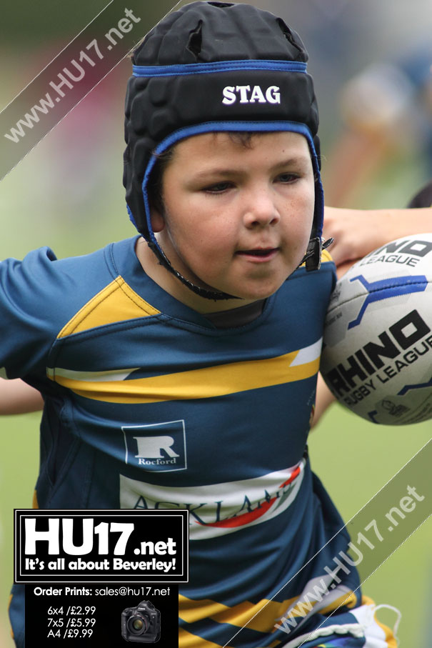 GALLERY : Beverley Braves Host U9s Rugby Festival