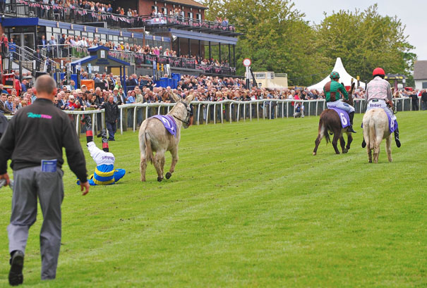 Beverley Racecourse Nominated For Two Showcase Awards