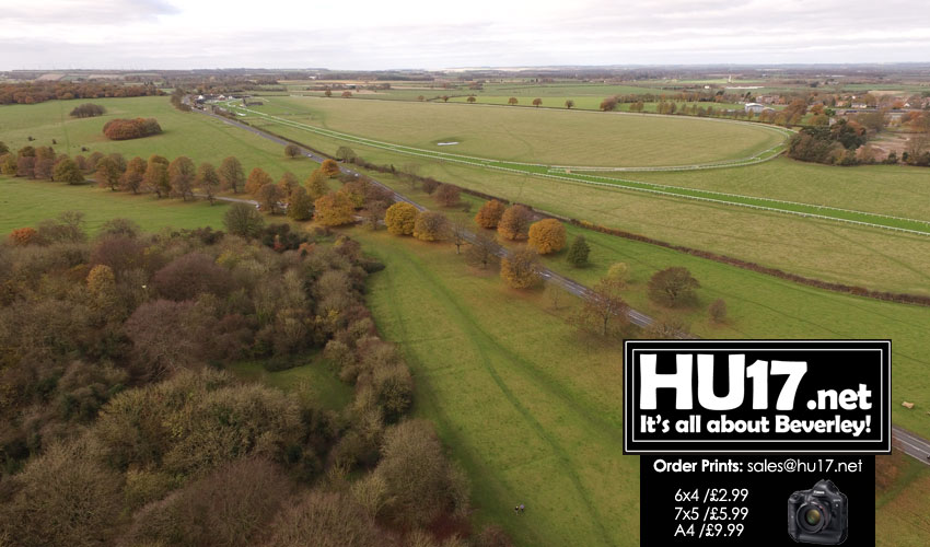 Beverley Westwood From The Skies