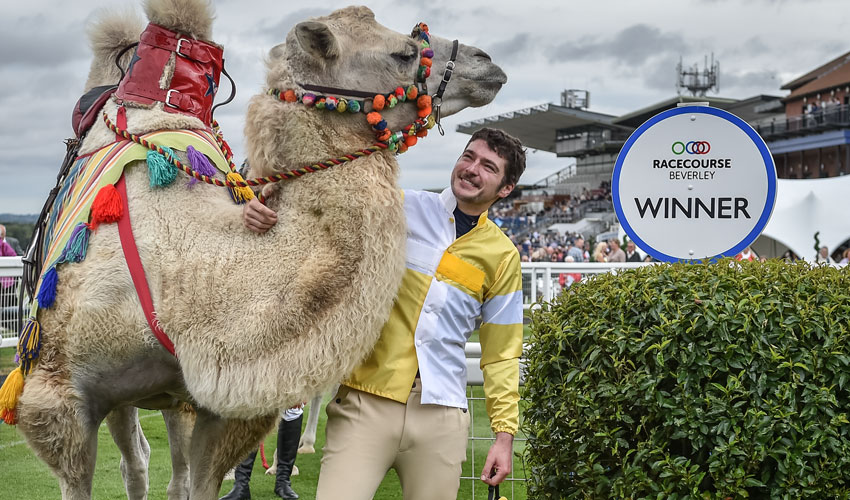 BEVERLEY RACES : Jaber Abdullah Launches Dual Beverley Raid