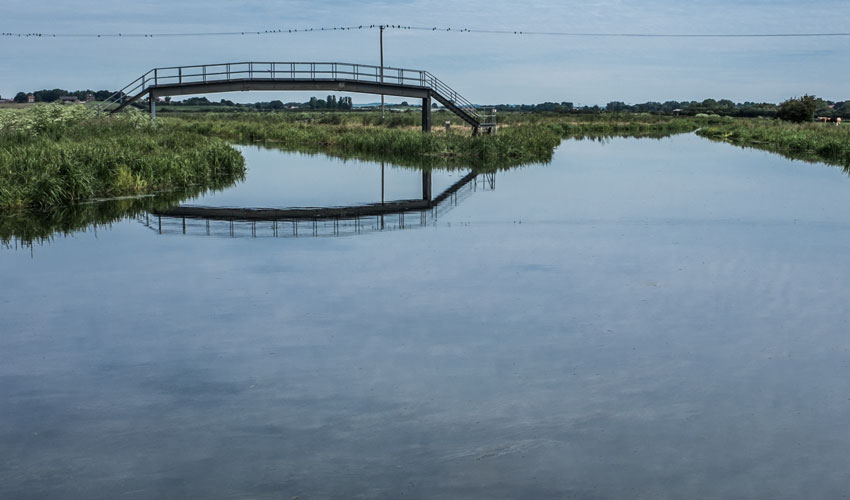Open Bridges: A River Full Of Stories Wins National Lottery Support