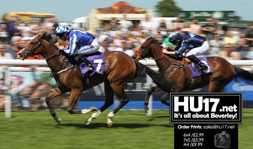 Perks To Backing A Horse Each Way