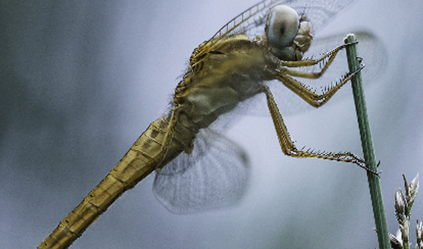 Photography Exhibition Continues To Break All Records
