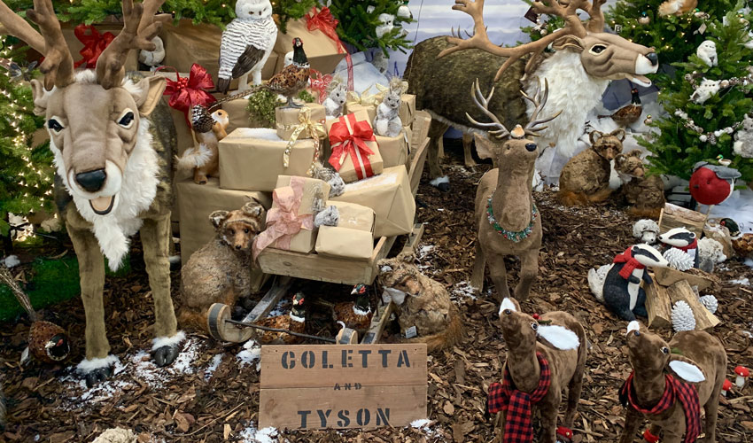 Christmas Department Launch Promises To Be A Festive Affair