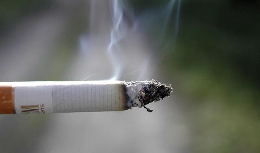 Illegal Cigarettes Totaling Over Half of Million Seized In Six Months