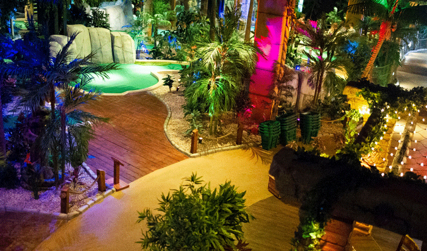 Enjoy Festive Fun In The Jungle This Christmas Party Season