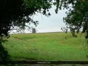 Beverley Westwood