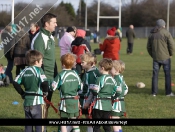 Beverley RUFC Minis