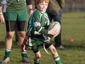 Beverley RUFC Minis