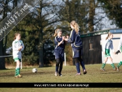 Mill Lane United Vs North Ferriby