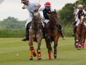 Out & About : Rowley Park Polo Club