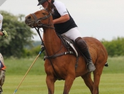 Out & About : Rowley Park Polo Club