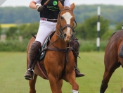 Out & About : Rowley Park Polo Club