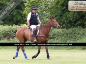 Out & About : Rowley Park Polo Club