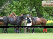 Out & About : Rowley Park Polo Club