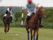 Out & About : Rowley Park Polo Club