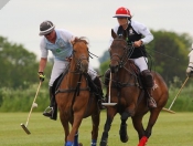 Out & About : Rowley Park Polo Club