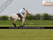 Out & About : Rowley Park Polo Club