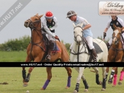 Out & About : Rowley Park Polo Club