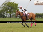 Out & About : Rowley Park Polo Club