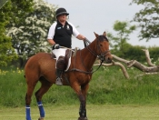 Out & About : Rowley Park Polo Club