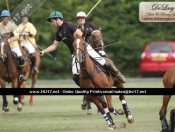 Beverley Polo Club