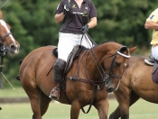 Beverley Polo Club