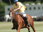 Beverley Polo Club