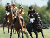 Beverley Polo Club