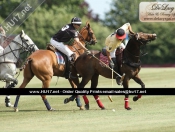 Beverley Polo Club