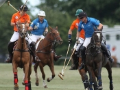 Beverley Polo Club