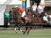 Beverley Polo Club