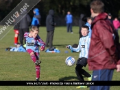 AFC Tickton Sharks continued