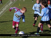 AFC Tickton Sharks continued