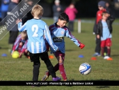 AFC Tickton Sharks continued