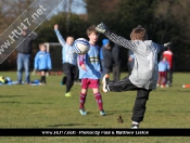 AFC Tickton Sharks continued