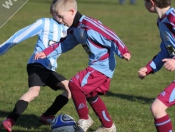 AFC Tickton Sharks continued