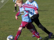 AFC Tickton Sharks continued