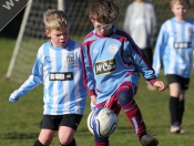 AFC Tickton Sharks continued