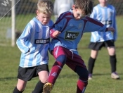 AFC Tickton Sharks continued