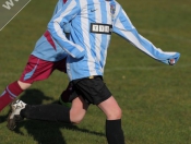 AFC Tickton Sharks continued