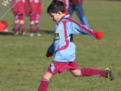 AFC Tickton Sharks continued