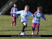 AFC Tickton Sharks continued