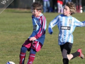 AFC Tickton Sharks continued