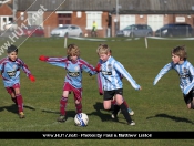 AFC Tickton Sharks continued